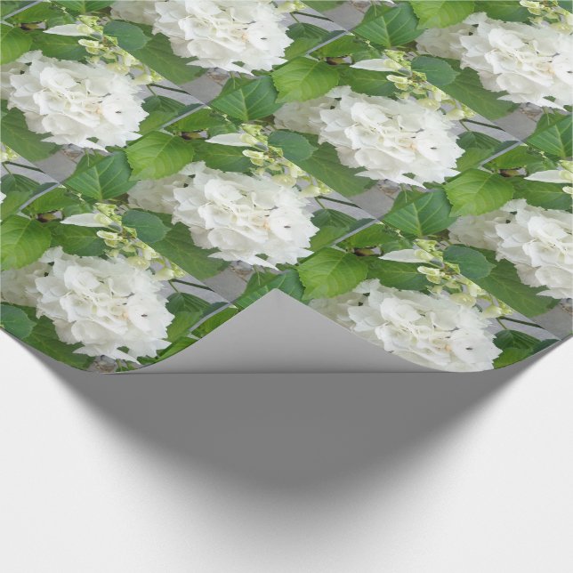 Hydrangea Flower Green White Nature Garden Plants Wrapping Paper (Corner)