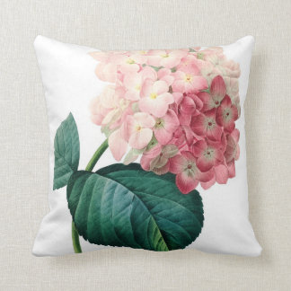 Hydrangea flower illustration Redoute Cushion