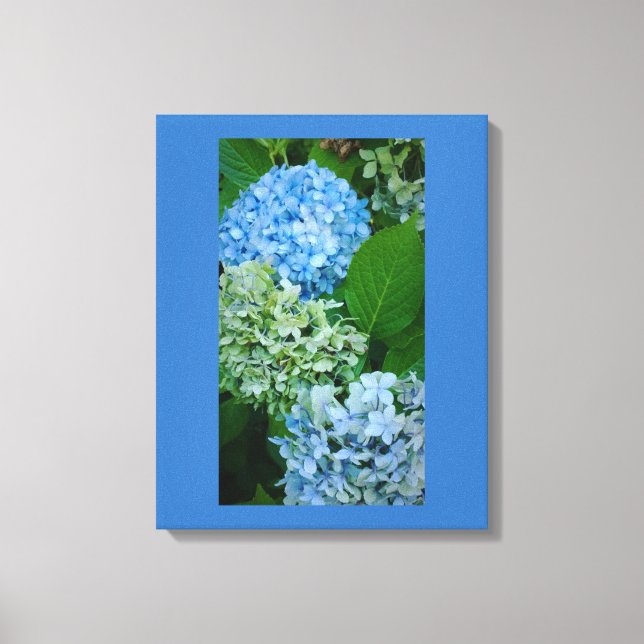 Hydrangea Flowers Canvas Print (Front)