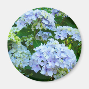 Hydrangea Flowers magnet gifts Blue Green garden