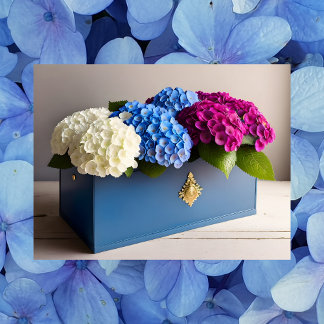 Hydrangea Flowers, Postcrossing Postcard