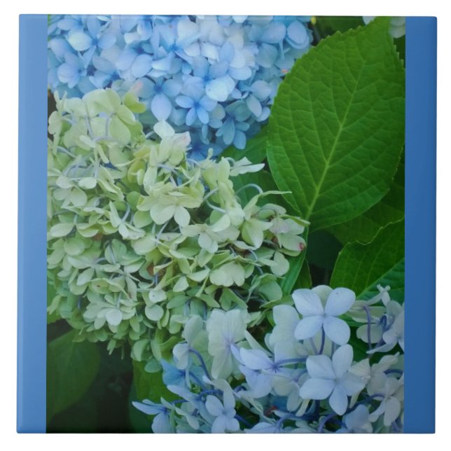 Hydrangea Flowers Tile (Front)
