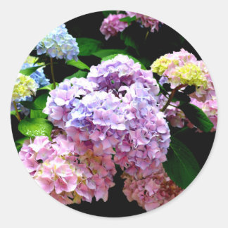 Hydrangea Garden Classic Round Sticker