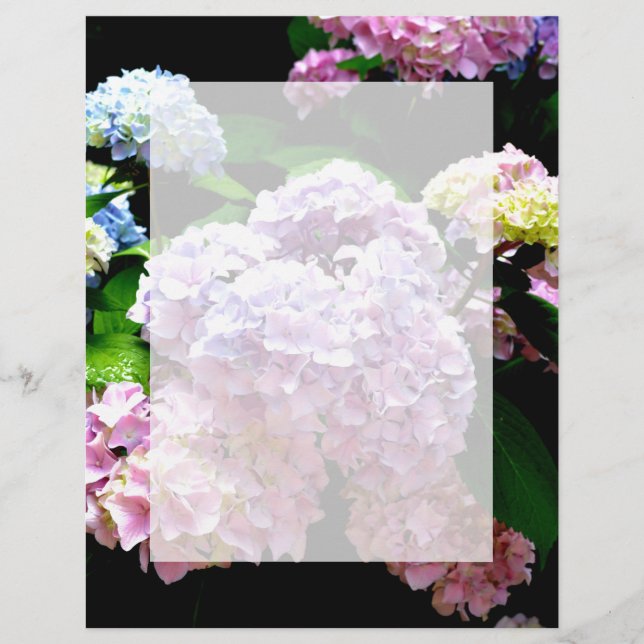 Hydrangea garden, pink, blue, purple floral (Front)