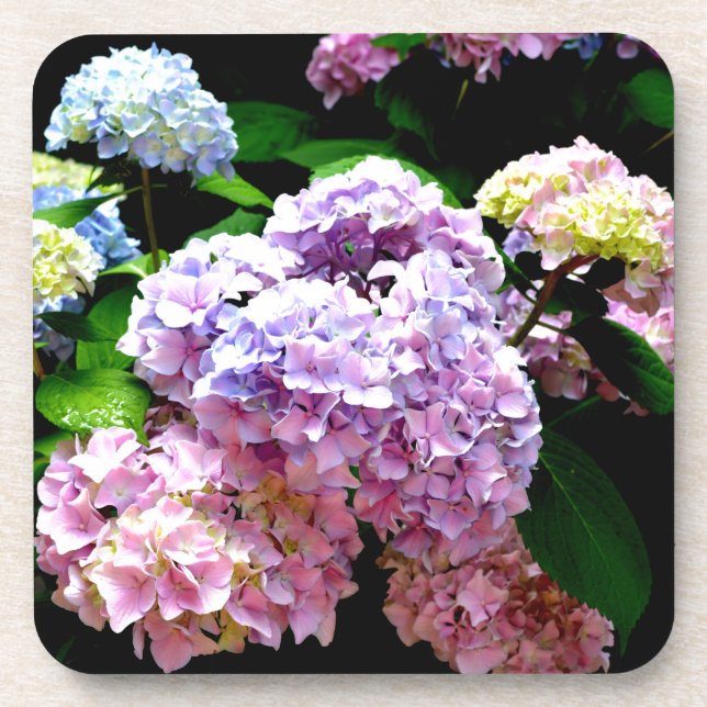 Hydrangea garden, pink, blue, purple floral coaster (Front)