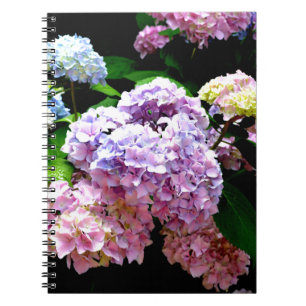 Hydrangea garden, pink, blue, purple floral spiral notebook