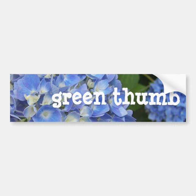 Hydrangea, Green-Thumb Bumper Sticker (Front)