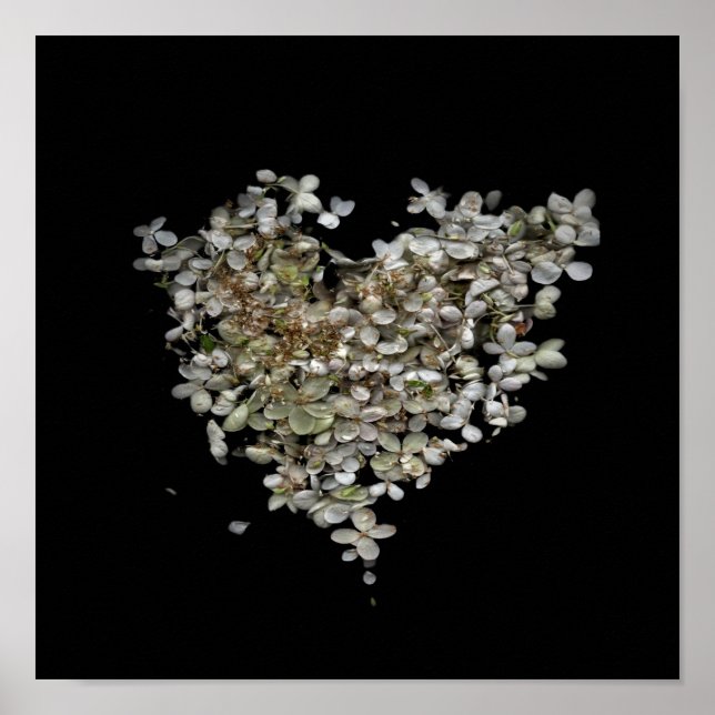 Hydrangea Heart Botanical Poster (Front)