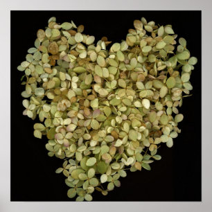 Hydrangea Heart Botanical Poster  Lovely2