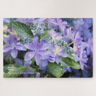 Hydrangea hybrida 'Dance Party' [Jigsaw puzzle] Jigsaw Puzzle