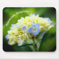 Hydrangea Inspirational Simplicity