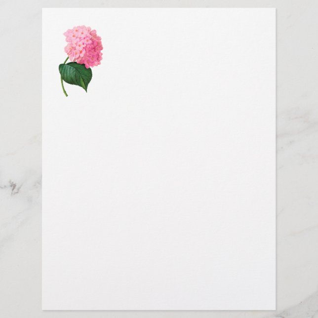 Hydrangea Letterhead (Front)