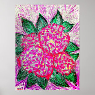 Hydrangea macrophylla poster