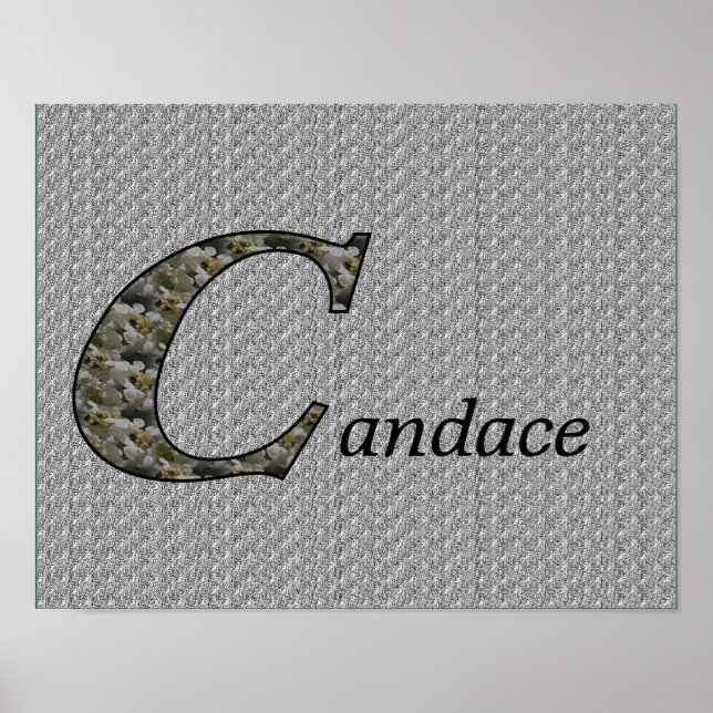 Hydrangea Monogram Initial C Personalised Poster (Front)
