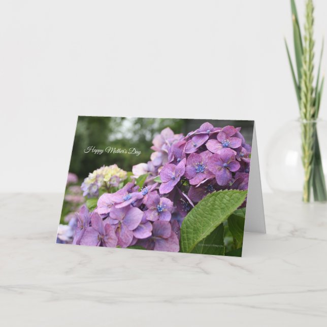 Hydrangea Mother's Day Card (Front)