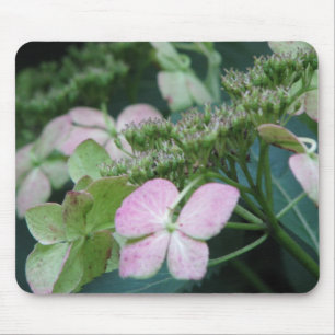 hydrangea mouse pad