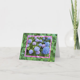 Hydrangea! note card