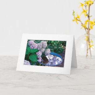 Hydrangea Photo Card