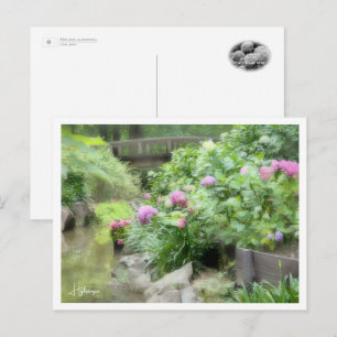 Hydrangea Postcard