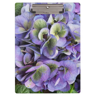 Hydrangea Print, Value Poster Paper (Semi-Gloss) Clipboard