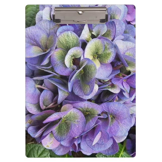 Hydrangea Print, Value Poster Paper (Semi-Gloss) Clipboard (Front)