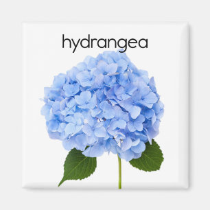 Hydrangea Refrigerator Magnet