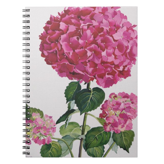 Hydrangea Spiral Notebook (Front)