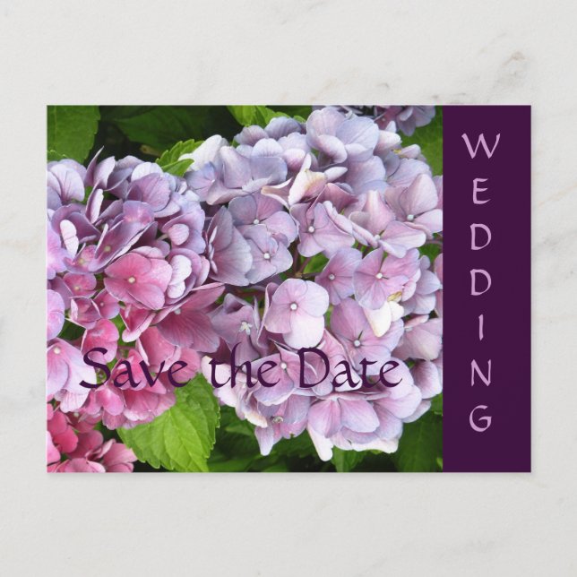 Hydrangea Wedding Save the Date Postcard (Front)
