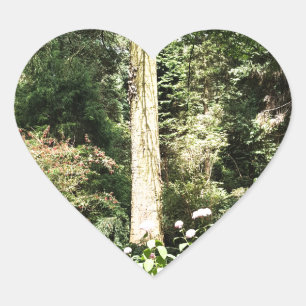 Hydrangea Wood Trees Nature Photography Heart Sticker