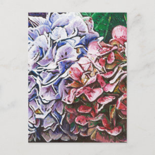 Hydrangeas 2010 postcard