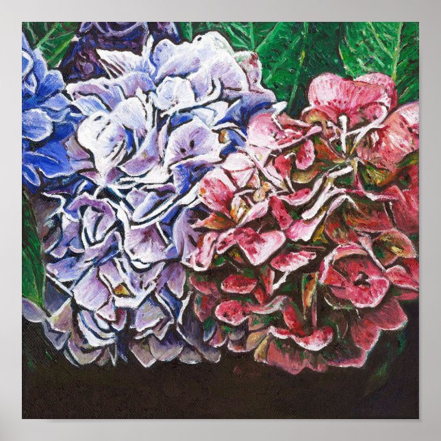 Hydrangeas 2010 poster (Front)