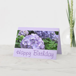 Hydrangeas at Trebah Gardens, Cornwall Card