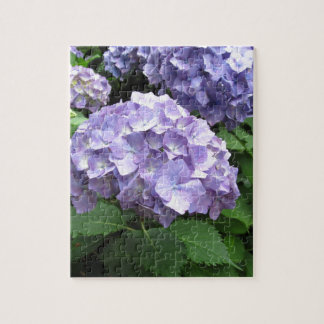 Hydrangeas at Trebah Gardens, Cornwall Jigsaw Puzzle