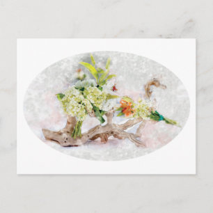 Hydrangeas Bella Watercolor Postcard