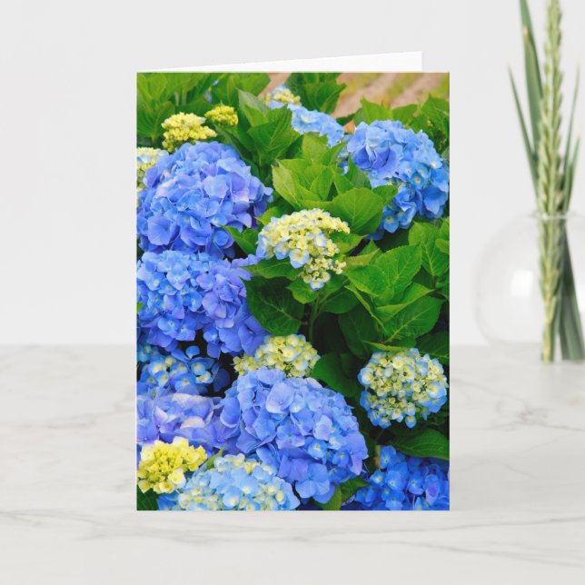 Hydrangeas Card (Front)