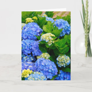 Hydrangeas Card