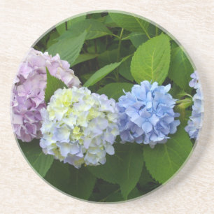 Hydrangeas Coaster
