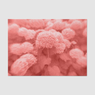 Hydrangeas Coral White Elegant Vintage Floral Tissue Paper