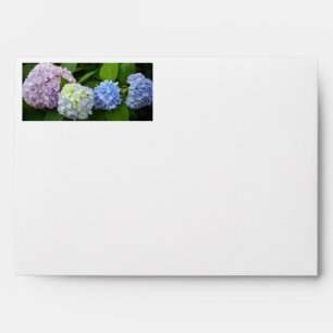 Hydrangeas Envelopes
