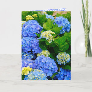 Hydrangeas Friendship Card