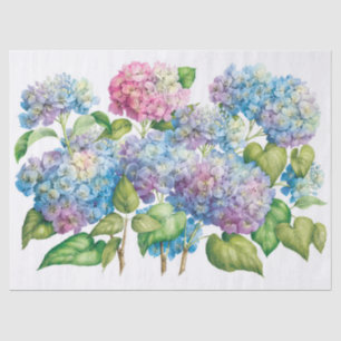 Hydrangeas in Bloom Tissue Paper