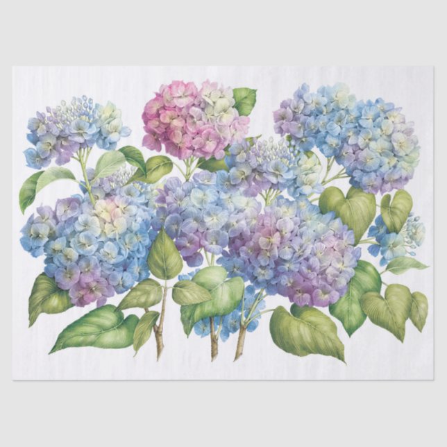 Hydrangeas in Bloom Tissue Paper (Front)
