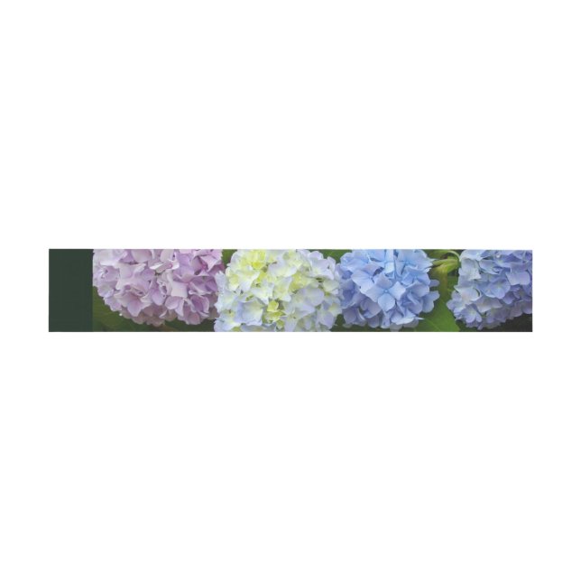 Hydrangeas Invitation Belly Band (Flat)
