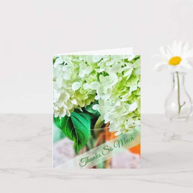 Hydrangeas--Lime Green Flowers Thank You Card (Small Plant)