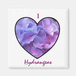 Hydrangeas Magnet