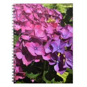 Hydrangeas Notebook