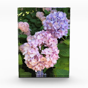 Hydrangeas Photo Block