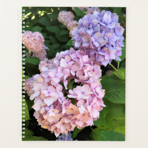 Hydrangeas Planner