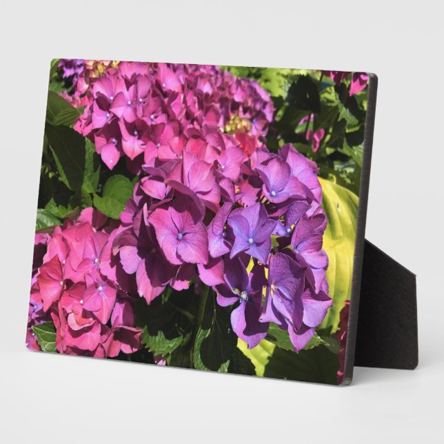 Hydrangeas Plaque (Side)