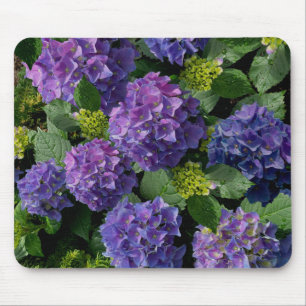 Hydrangeas romantic pink blue purple floral mouse pad